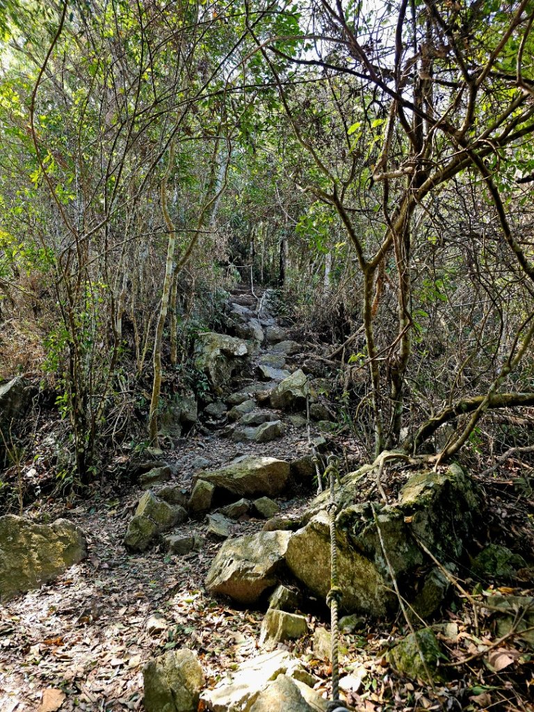 白毛山-谷關七雄(老六)_3015206