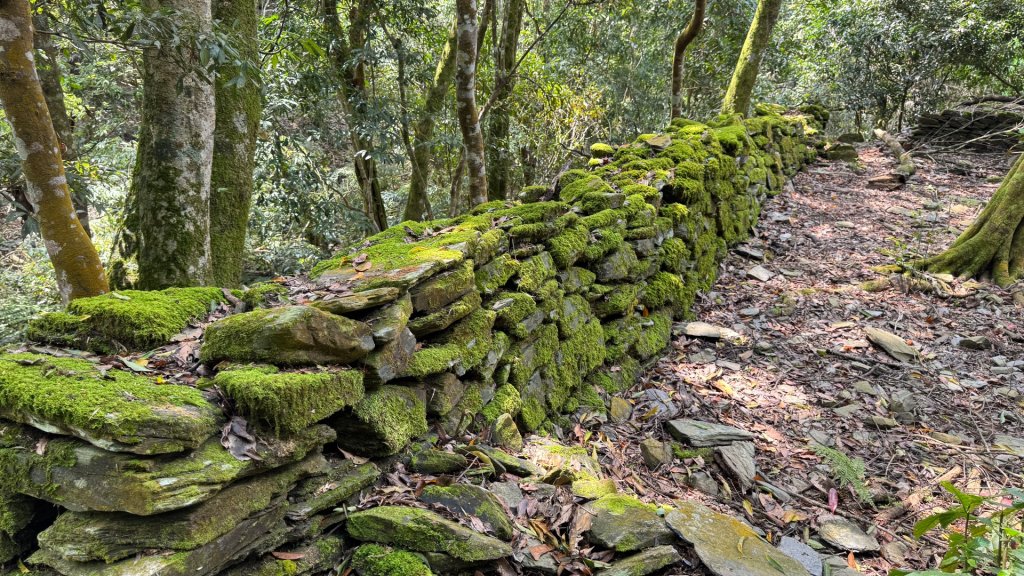 六龜警備線南段（藤枝-茂林）2天1夜封面圖