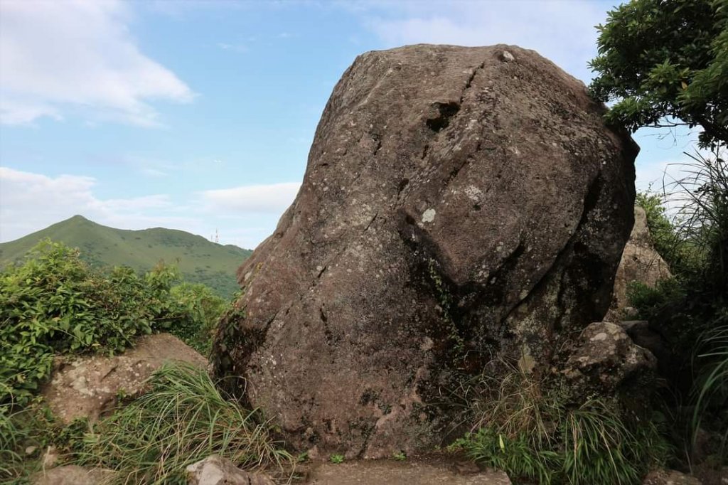 陽明山  菜公坑山 反經石   水車寮步道。林木蓊鬱  豐富的蕨類植披，絕佳避暑古道_2174056