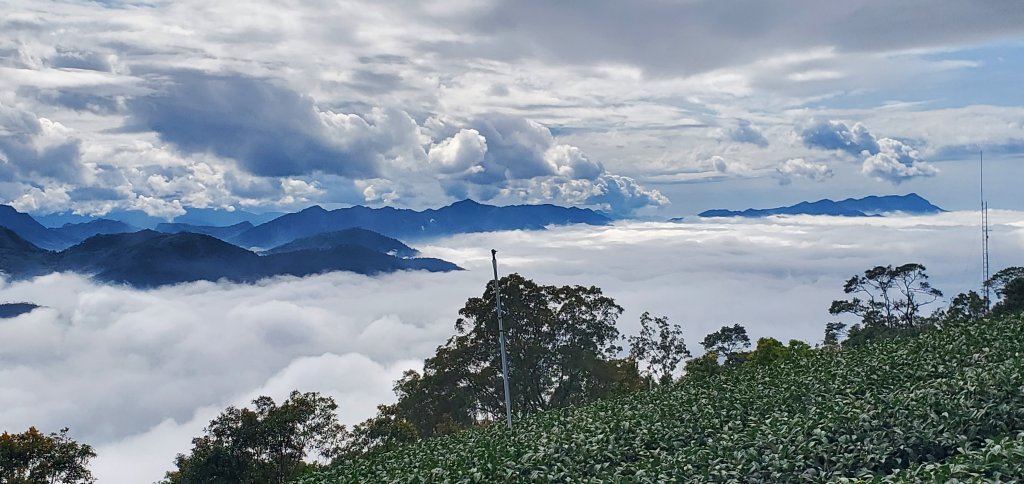 2025-01-19孝子路步道、大巃頂封面圖