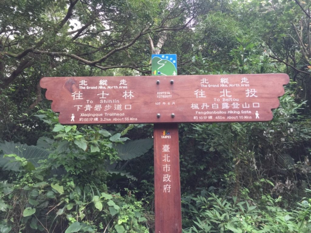 七星主東芒花盛開_461280