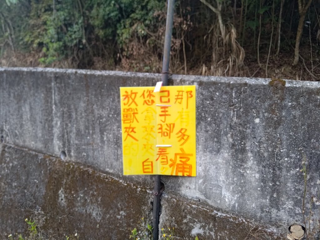 崩棚山瑞水古道封面圖