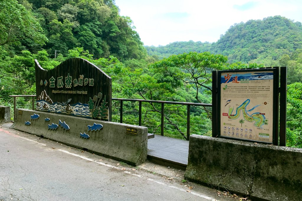 新北坪林｜金瓜寮魚蕨步道｜夏日親水野溪小徑封面圖