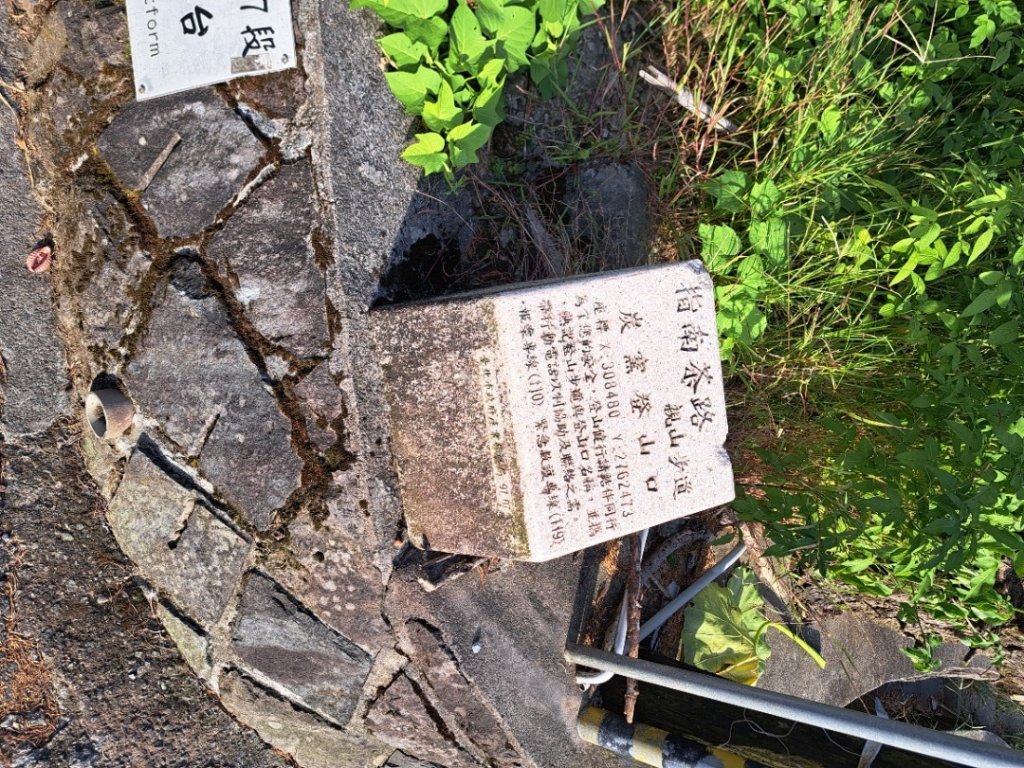 2026微笑山線樟樹步道封面圖