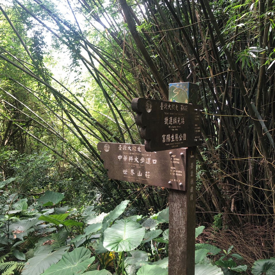 2025臺北大縱走第六段_2783502