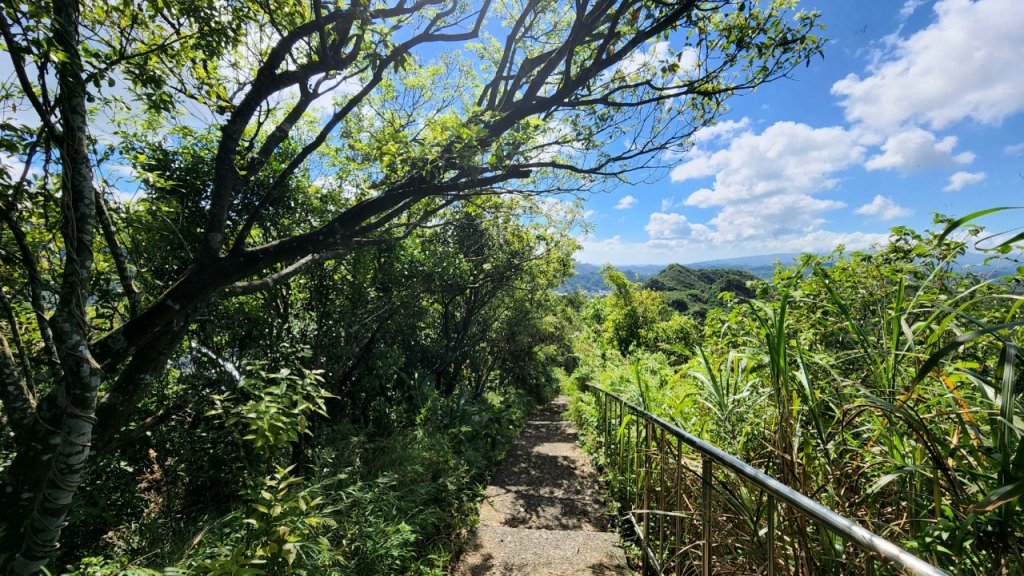 南子吝山，龍潭山，秀崎山，荖寮坑古道，暖東舊道（十分古道），五峰旗瀑布，聖母登山步道_1894543