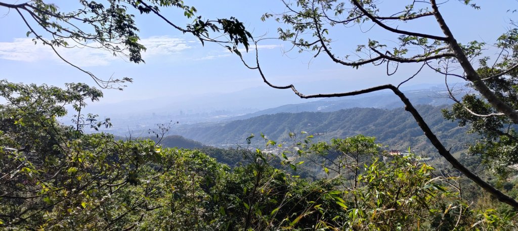 林梢步道_2700681