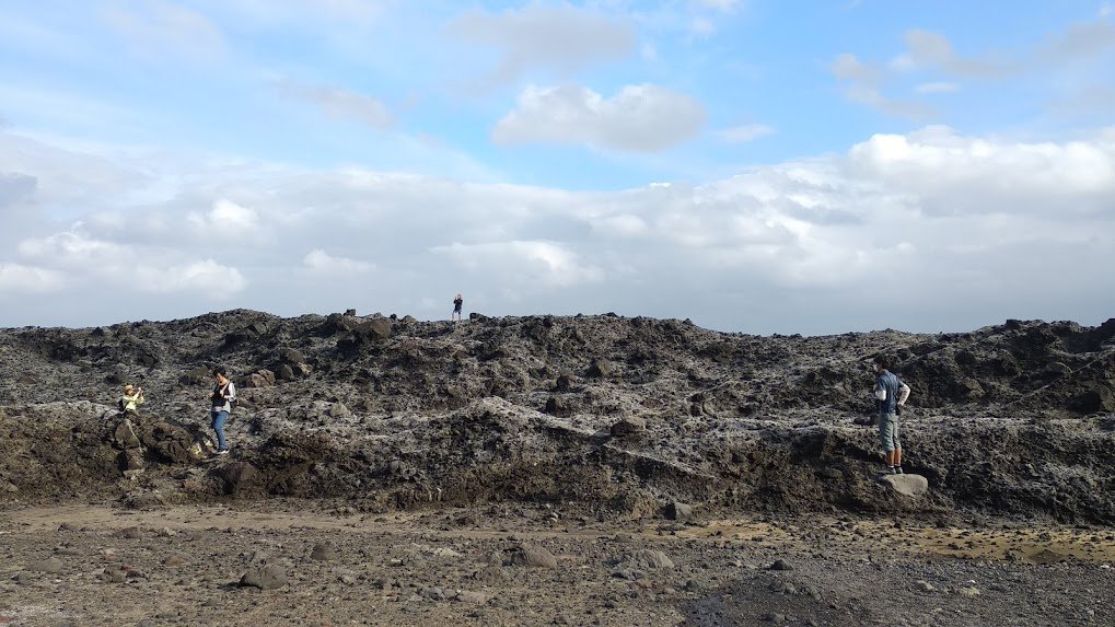 2019 1/28 三仙台步道_873801