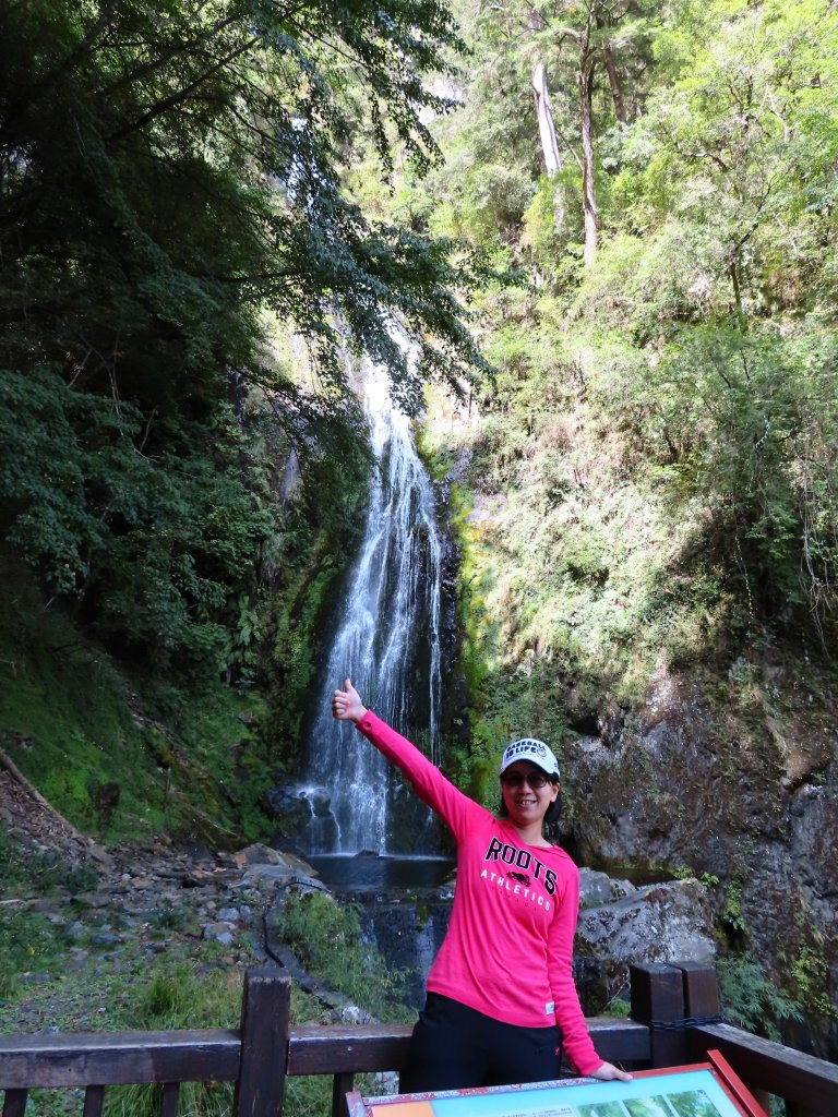 深秋武陵農場之旅（1）桃山瀑布步道_447267