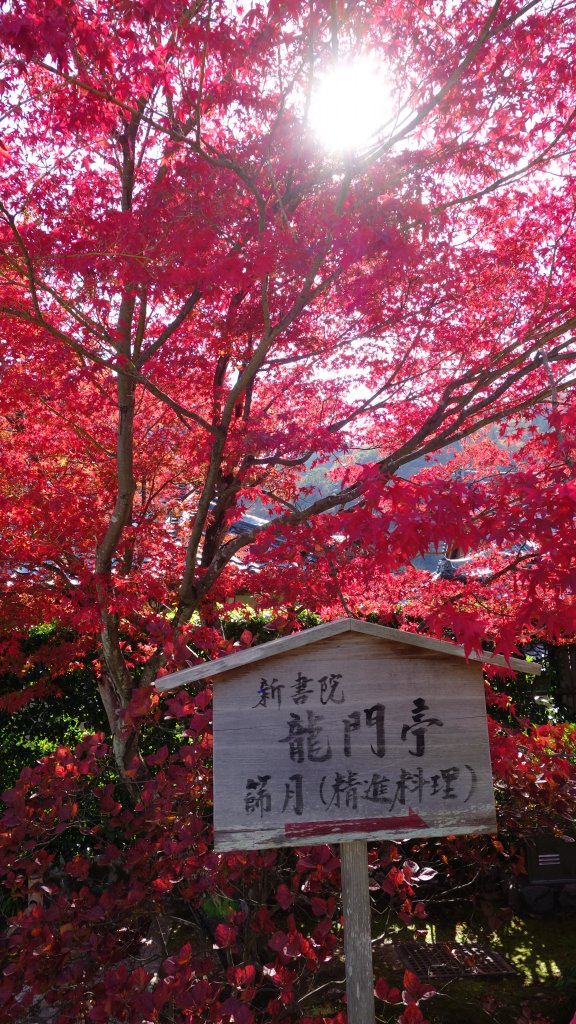 日本京都嵐山_651995