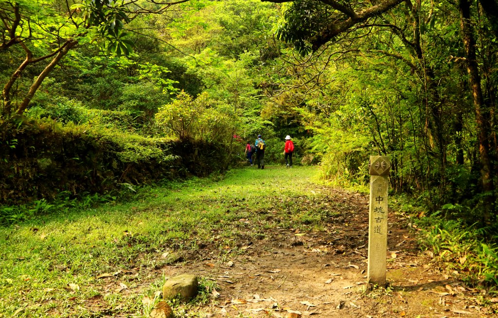 芳草碧連天~淡蘭中路中坑崩山坑古道O型_913732