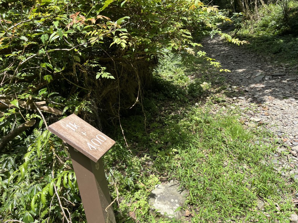 2025_0713 松羅步道_2836789