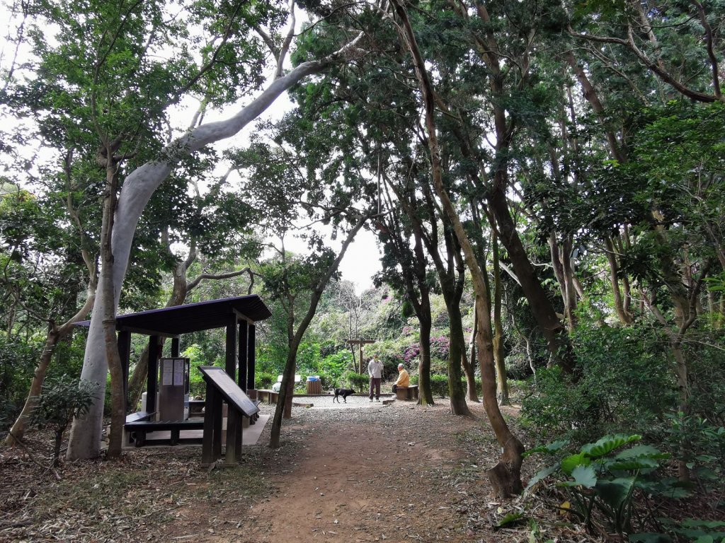 六寮古道→高峰植物園→鳳崎落日→石門水庫楓林→東眼山→鳶山→五酒桶山→台大椰林→富陽公園→象山步道_1667368