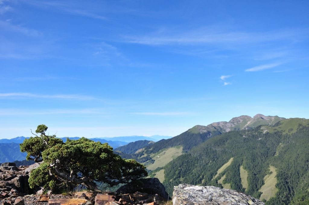 武陵二秀(池有、品田)_375539