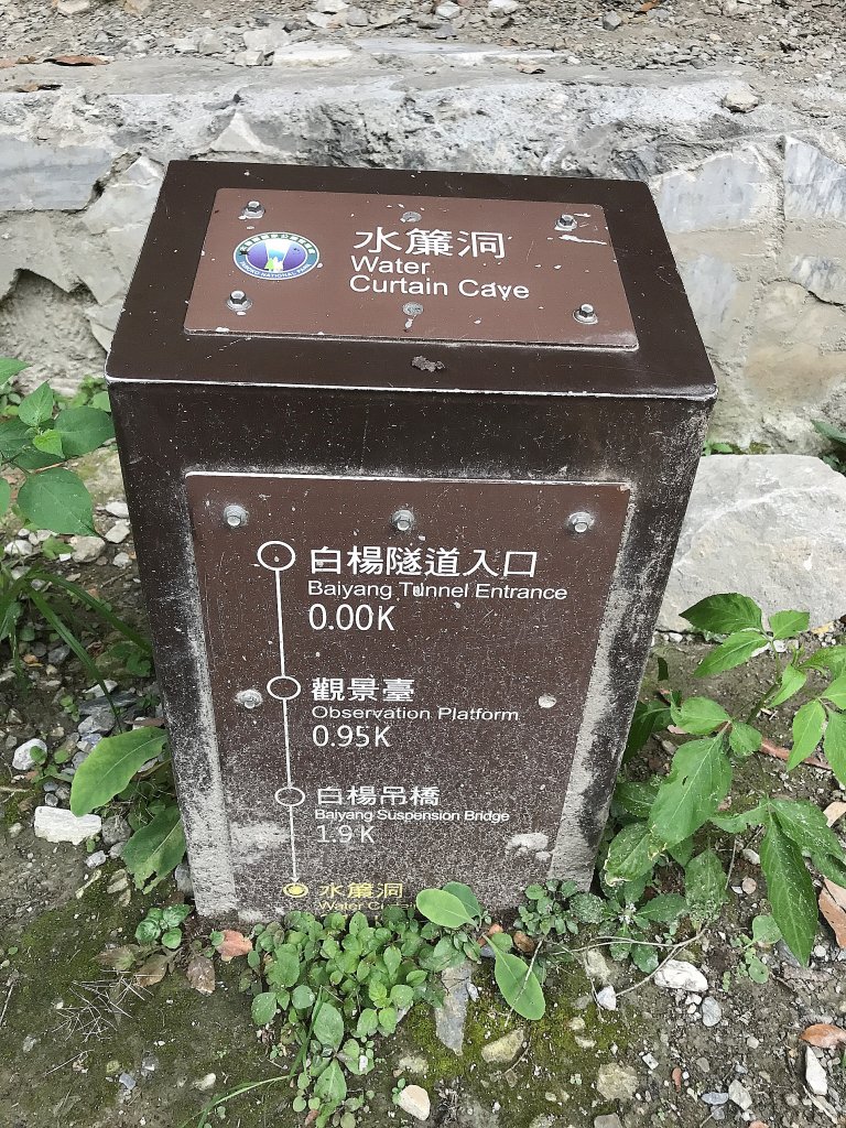 ~  白楊步道  ~_1454904