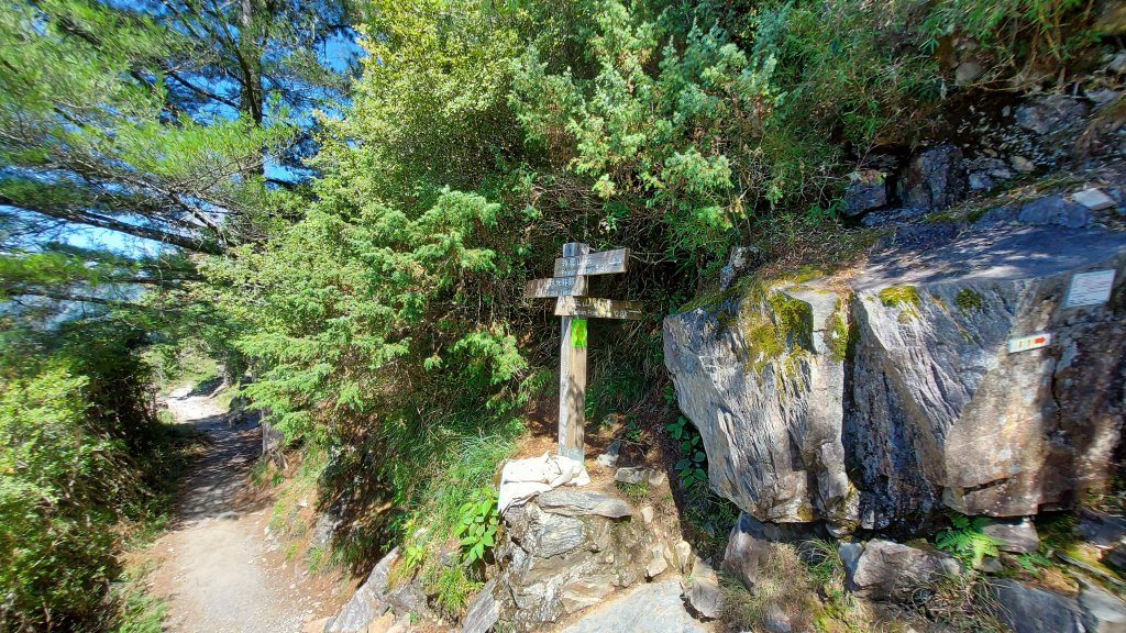 玉山主峰_1105136