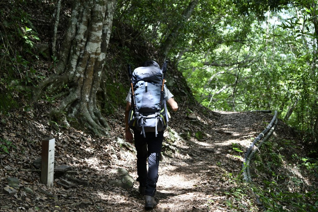 八通關上玉山_1025053