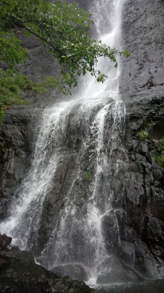 陽明山國家公園最大的瀑布「阿里磅瀑布」_406713