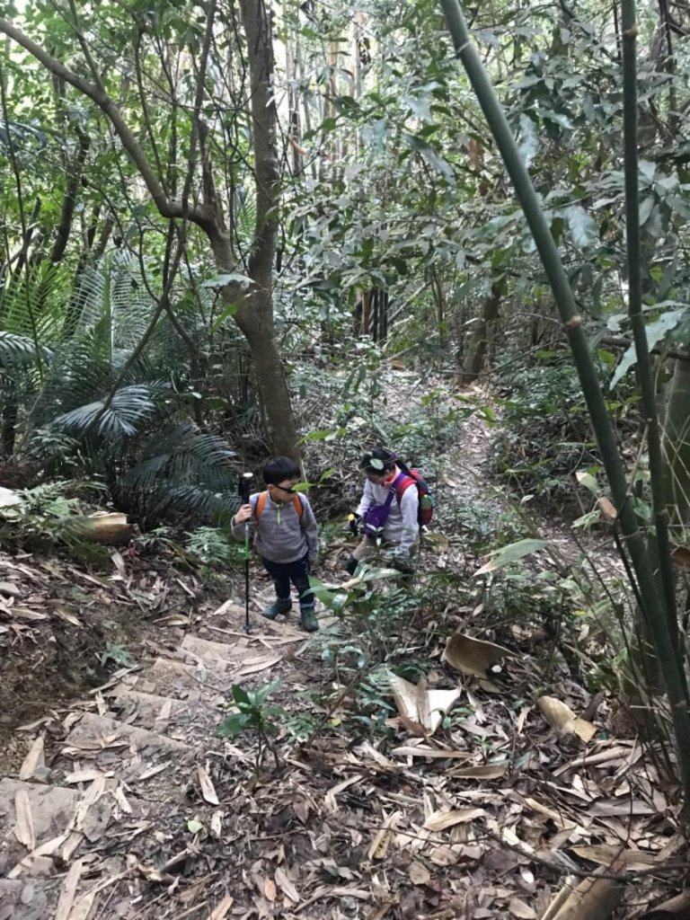 水雲三星之鳥嘴山_512241