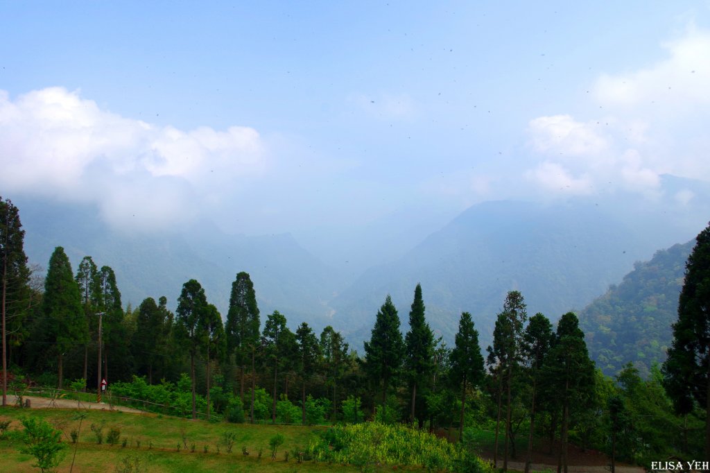 加里山樹根趴踢+切西瓜_892528