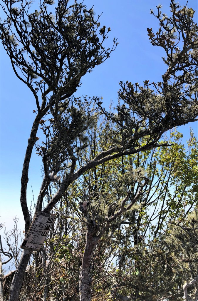 台灣小百岳No.034 加里山_908107