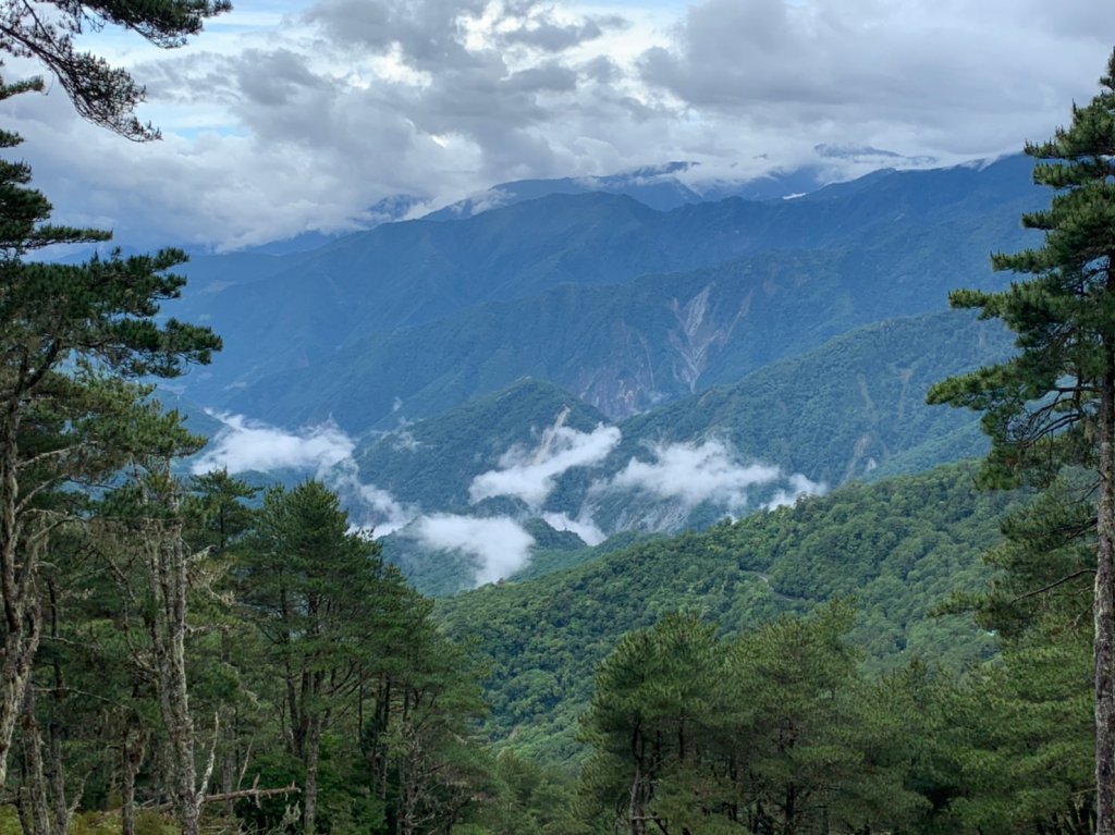 20220625台東海端向陽山、向陽山北峰、三叉山、嘉明湖_1745529