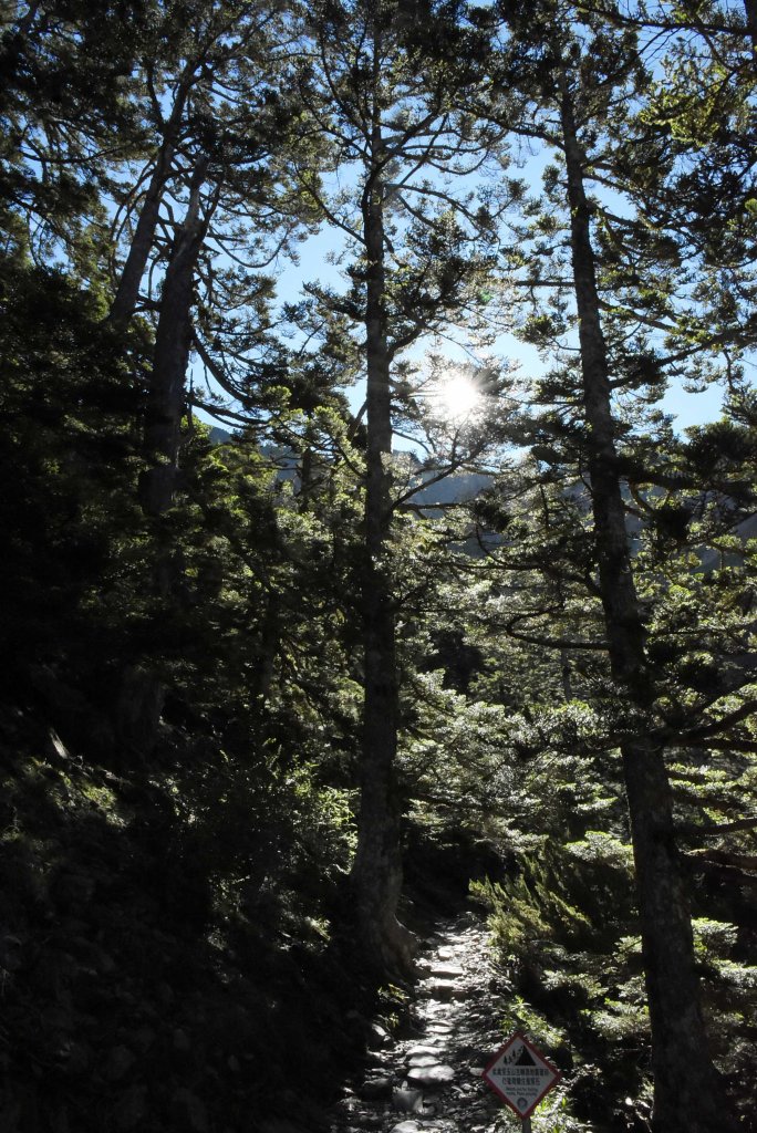 20200706玉山主峰一日單攻_1026987