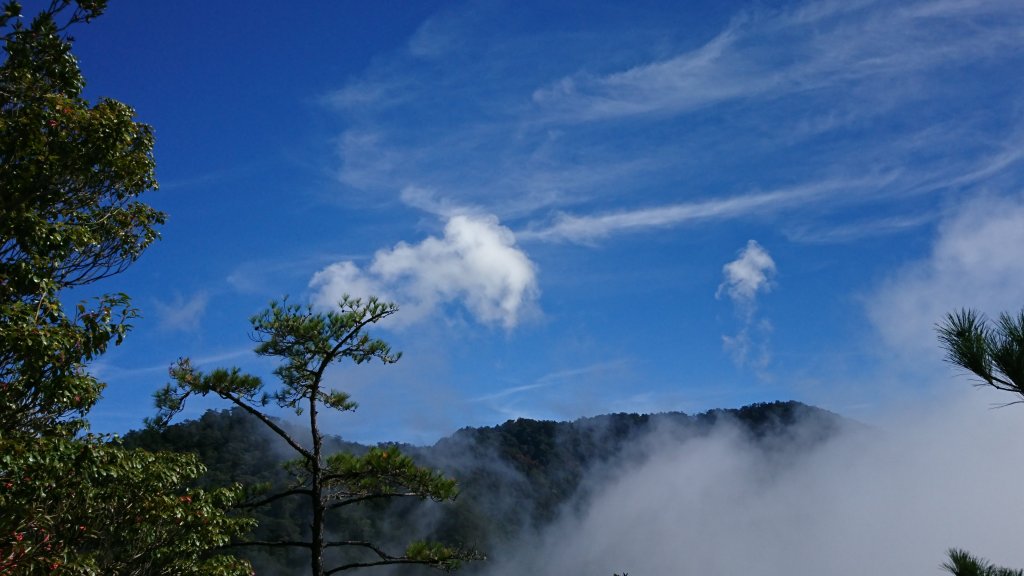 鳶嘴山趴趴走封面圖