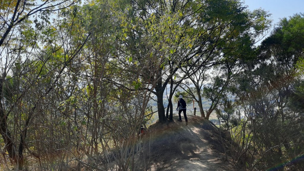 《台中》寒流暖陽｜知高圳步道學田山20221225_1968354