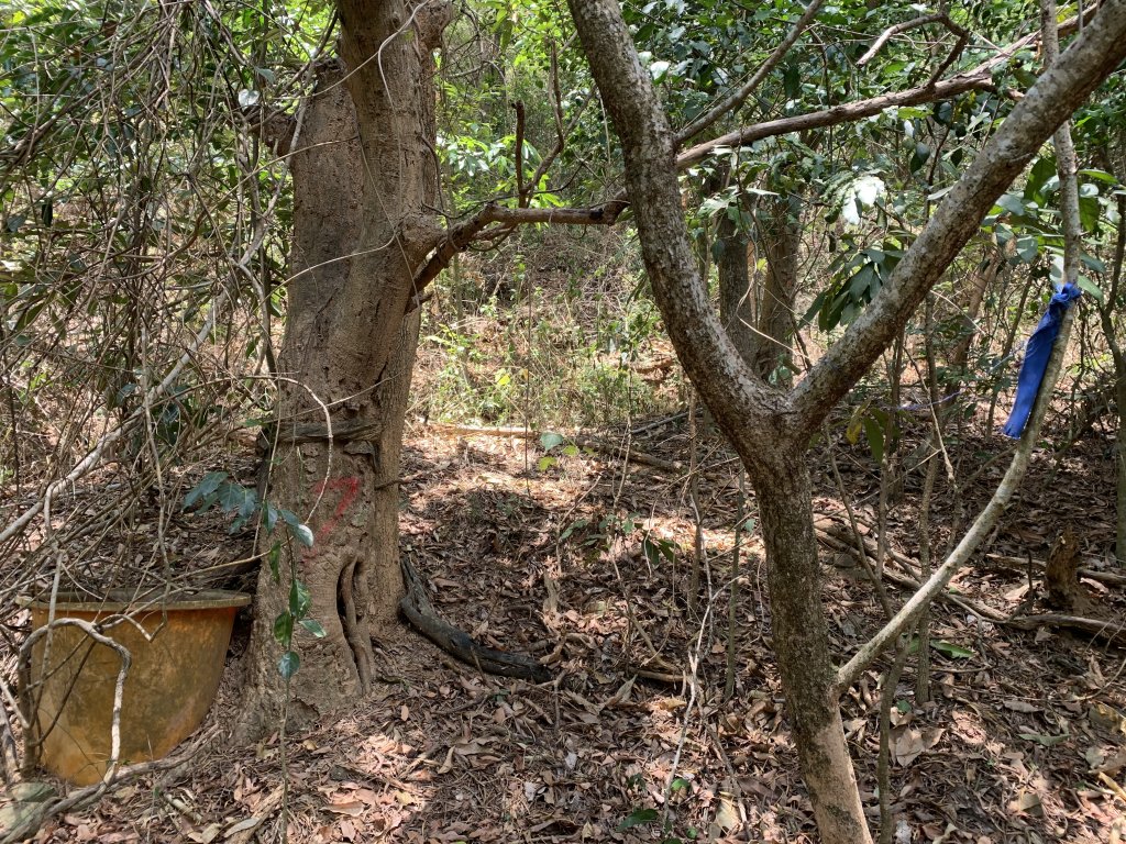 20250503屏東南和山_2781483