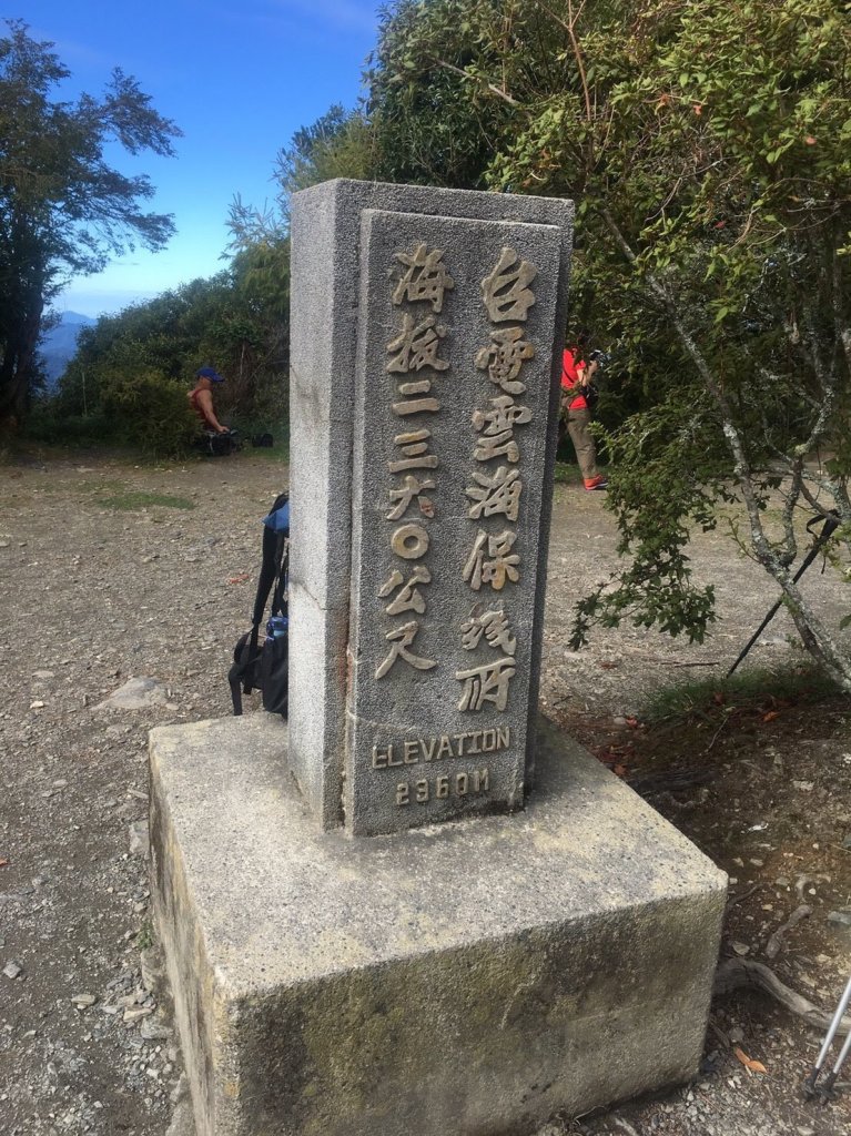 猴子就是愛爬山(奇萊南華)#5.6_567384