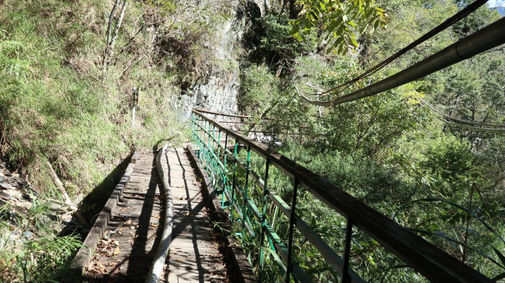志佳陽大山登山健行趣(百岳47號)_1922620