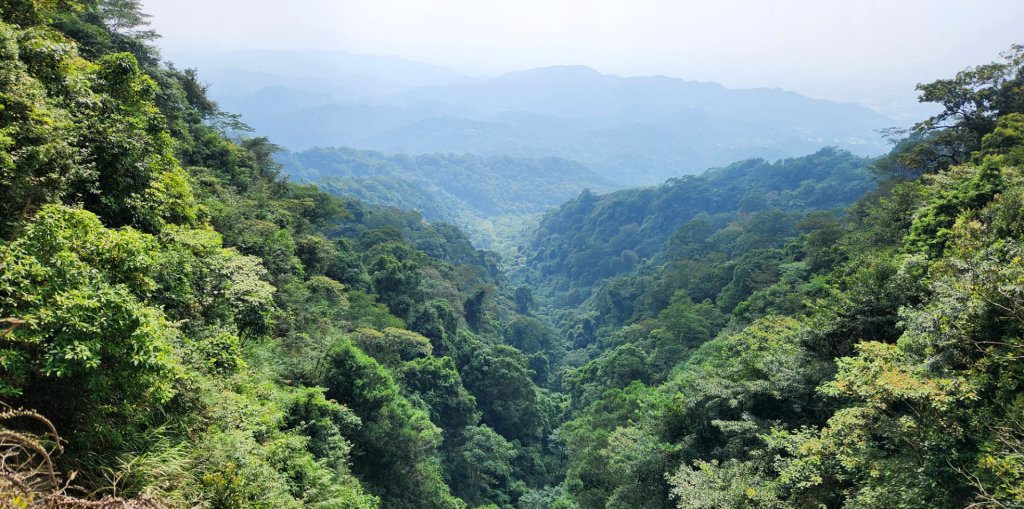 郡大山，郡大山北峰，望鄉山，白冷山，頭嵙山，黑山北峰，大坑4號，大坑3號，挑水古道，快官健行步道_2299262