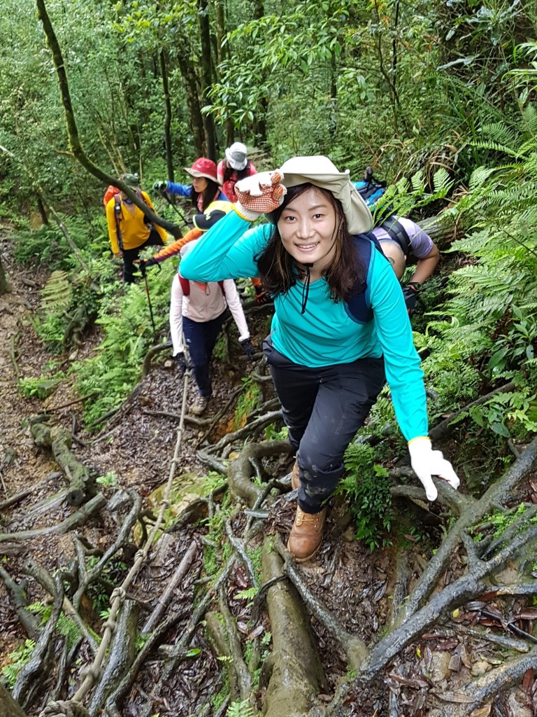 2017/05/20 北插天山（赫威山）_248031