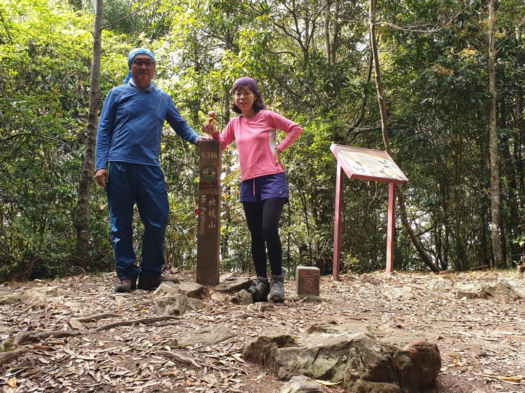20190428雪見北坑山大板根_575171