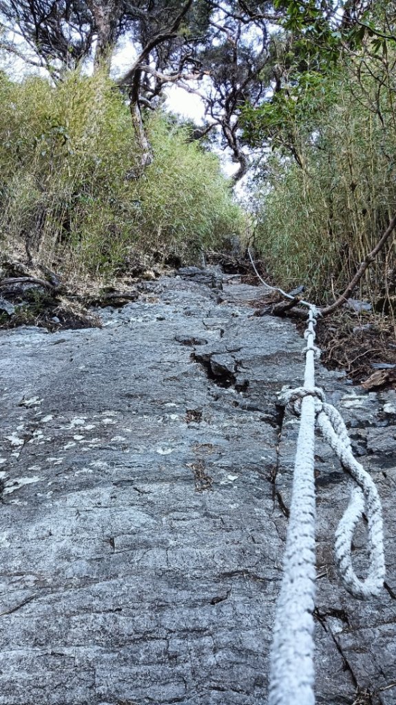 20240403-0404 大小劍_2471948