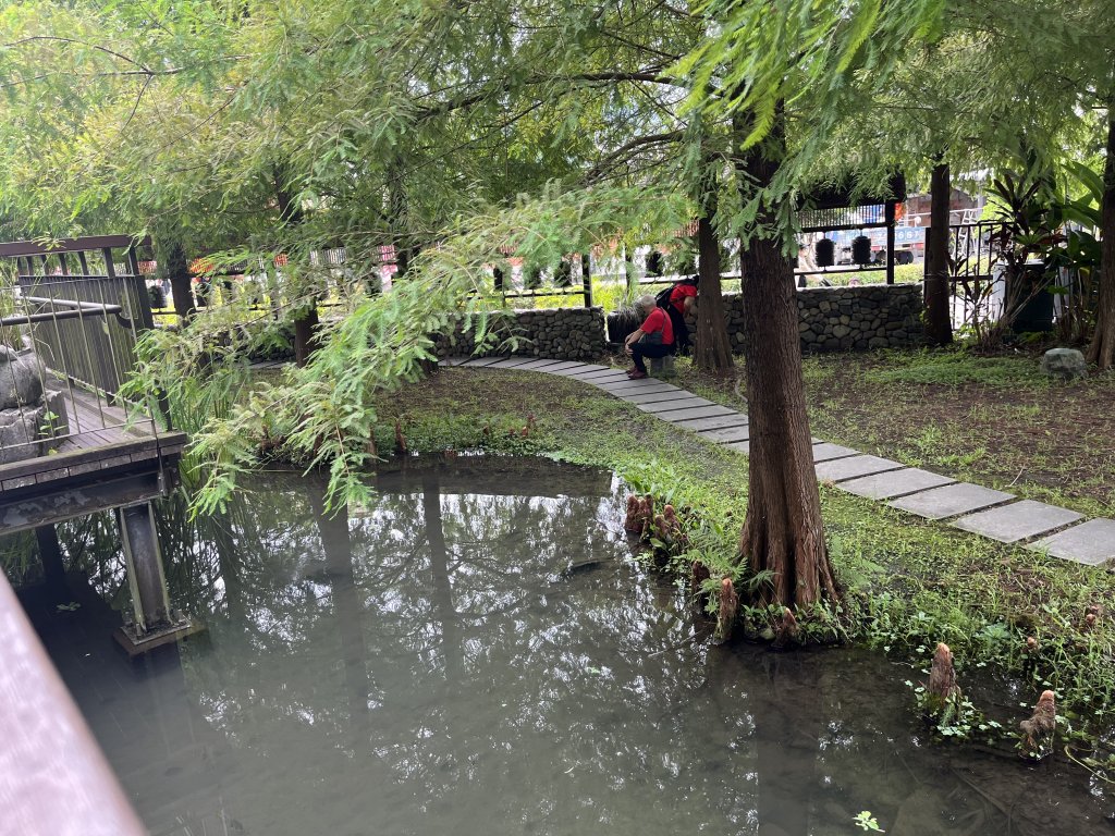 2025_0712 北后寺_2836402