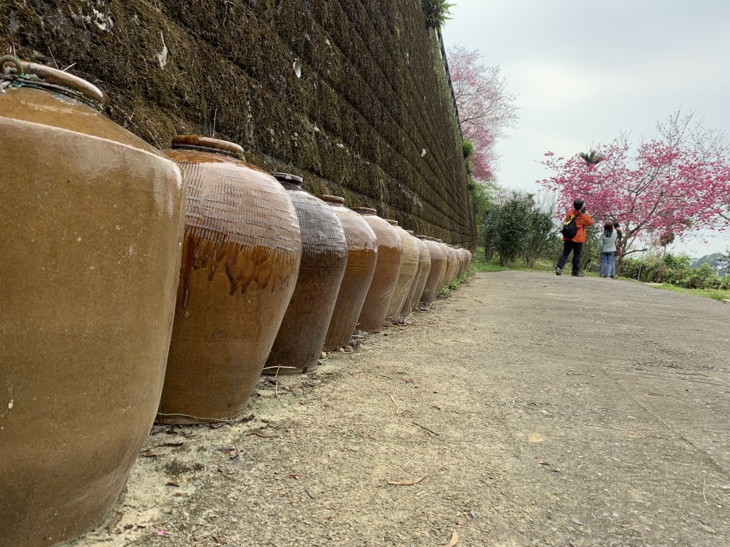 20240224嘉義半天岩山-尖凍山_2439783