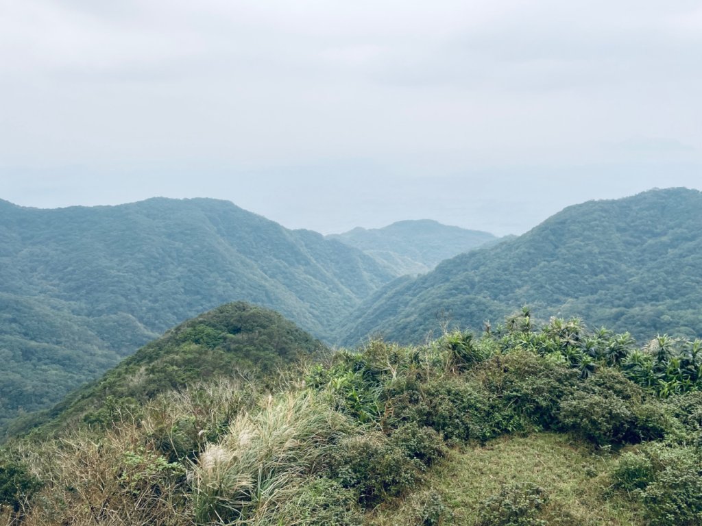20241215 桃源谷步道（內寮線）_2745770