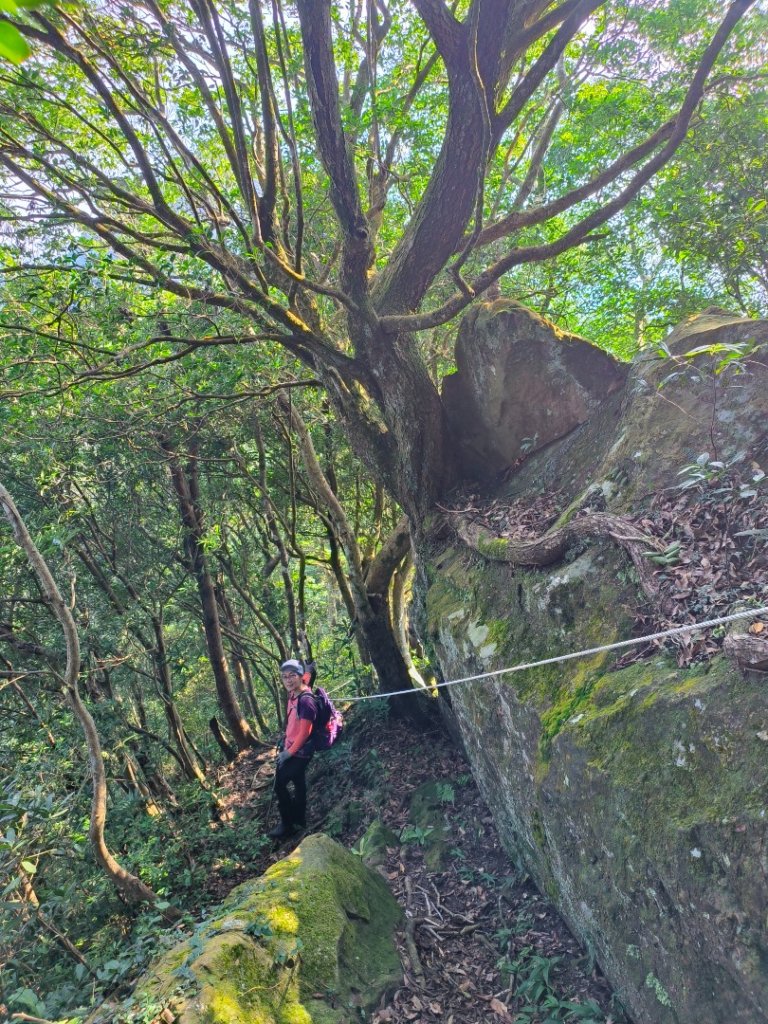 1120917 高石縱走_2284814