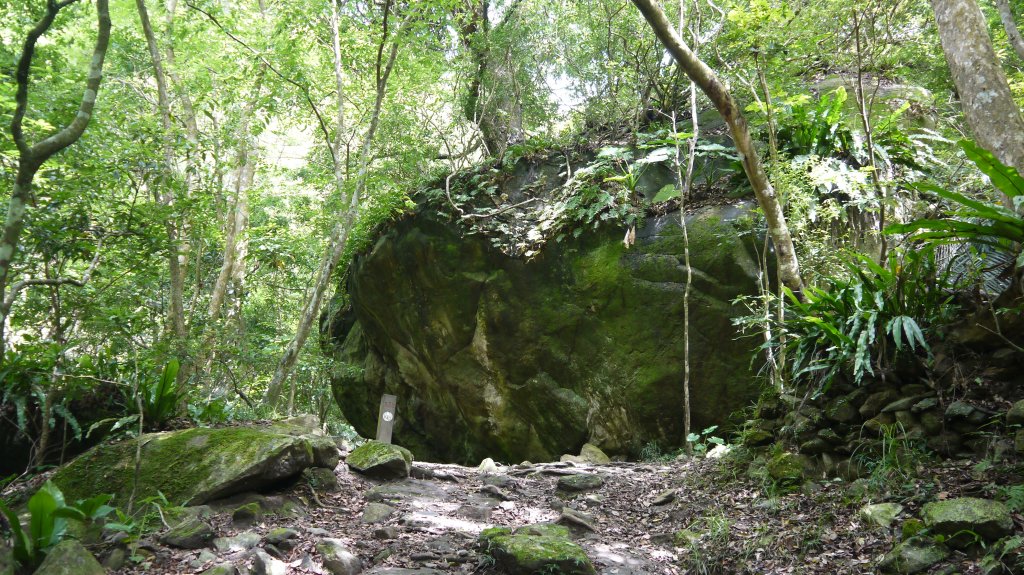 錐麓古道登山健行趣(古道)_1741887