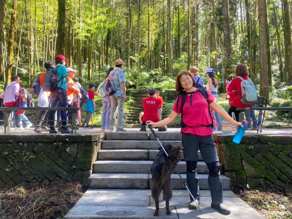 奮起湖環狀步道、麻竹湖步道_2638120