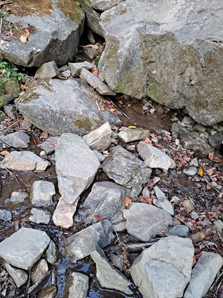 一日白雪村_2039701