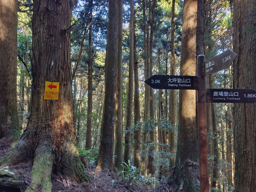 加里山（大坪登山口O繞）112/11/28_2363002