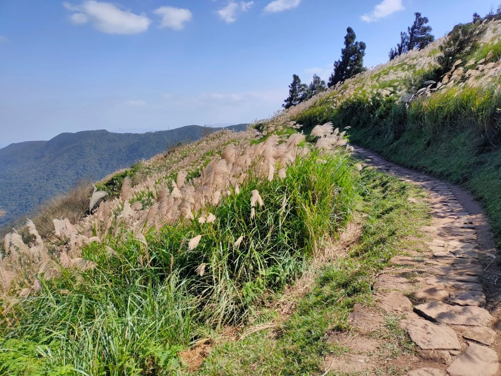 ［擎天崗環形步道］［頂山石梯嶺步道］_2357878