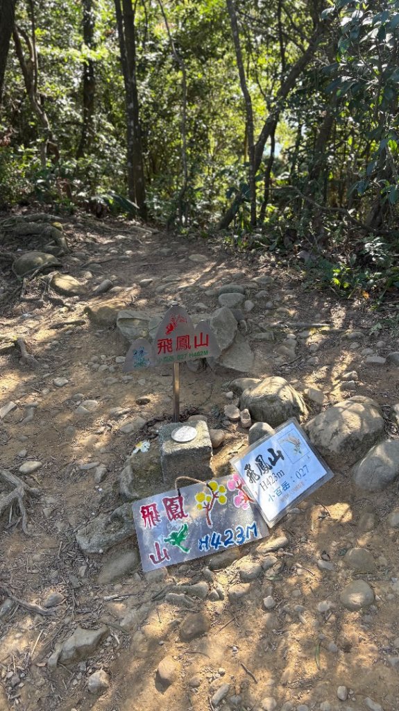 2025-11-30 飛鳳山 走來回_2952655