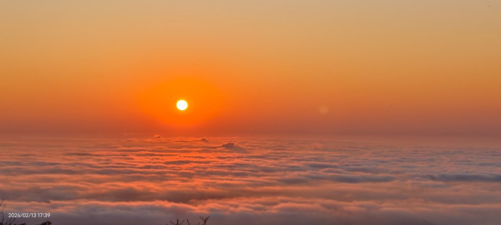 #觀音山 #雲海 #夕陽 #天空之城 #大赤鼯鼠（飛鼠） 2/13封面圖