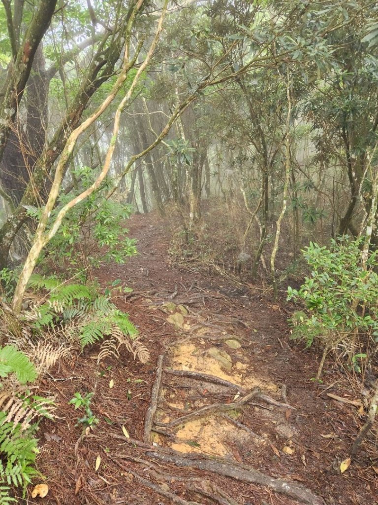 高島縱走封面圖