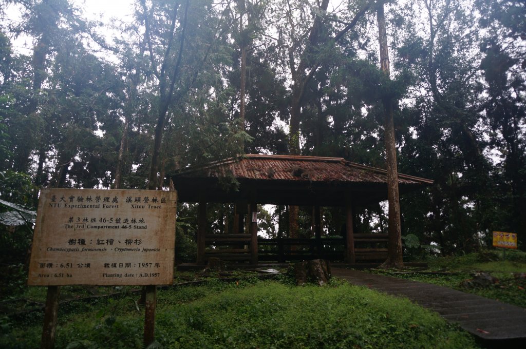 溪頭自然教育園區_2016897