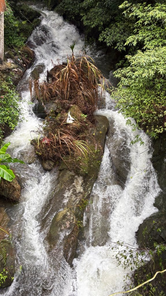 大雨後🙄封面圖
